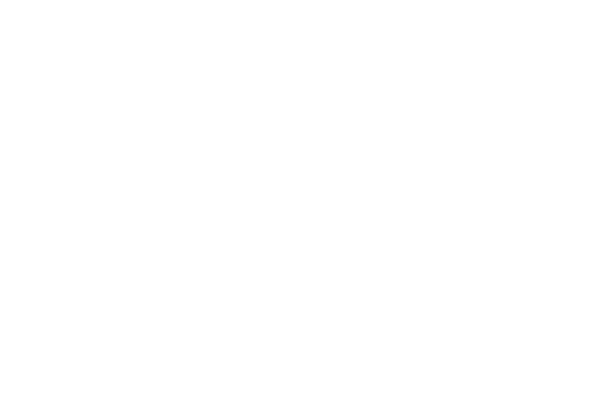White logo White Onyx Functional & Aesthetic Medicine in Gardner, MA